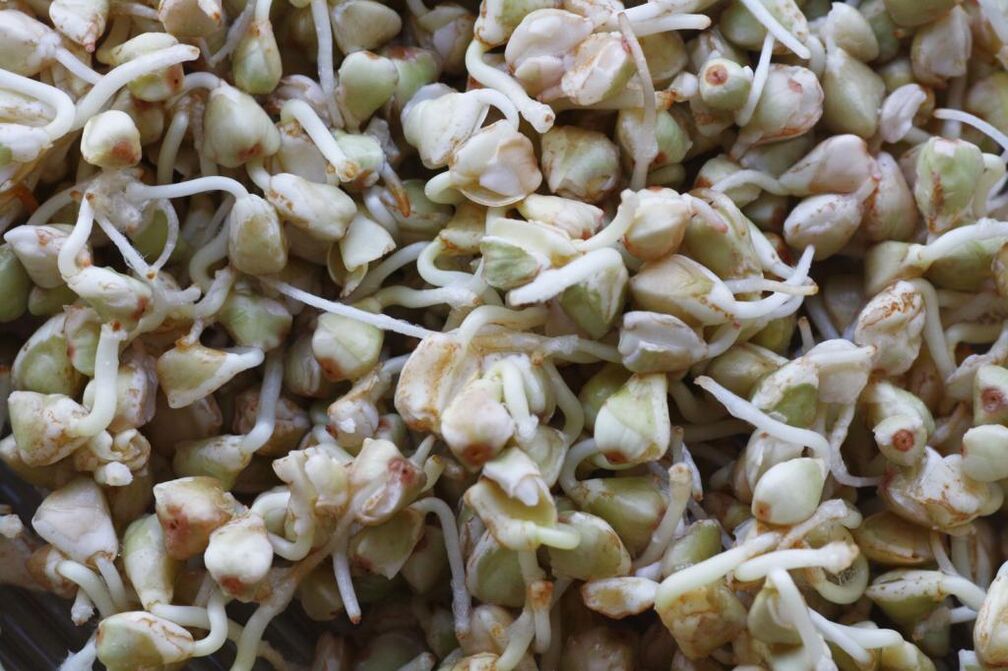 sprouted buckwheat for weight loss